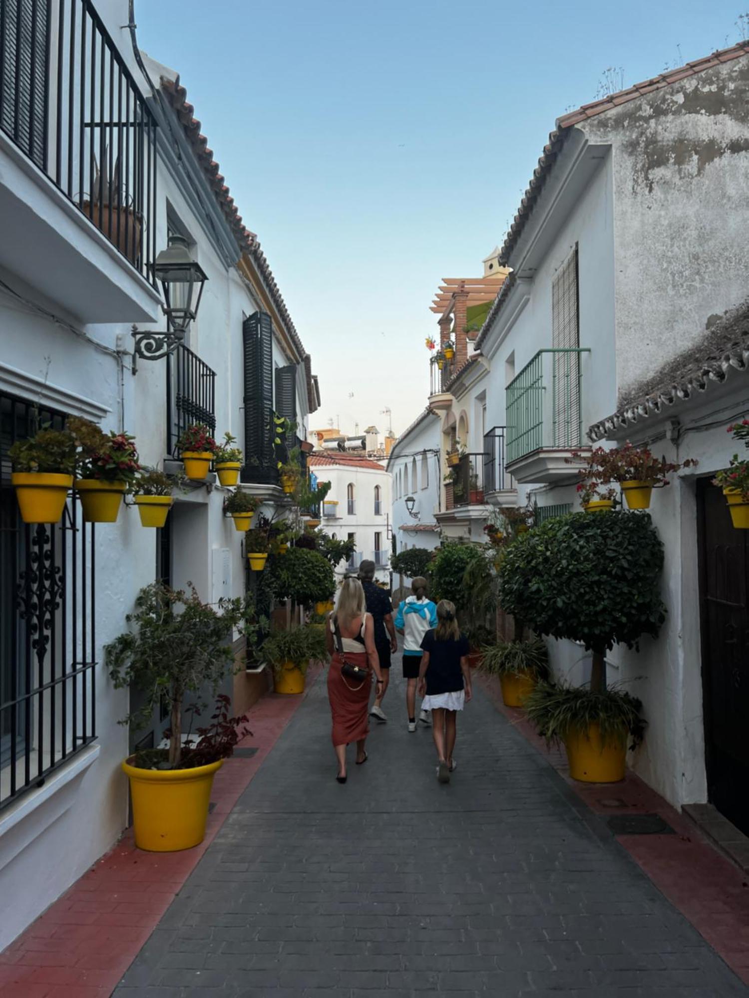 Playa Cristo Amazing Beach Terrace Appartment Estepona Exteriér fotografie